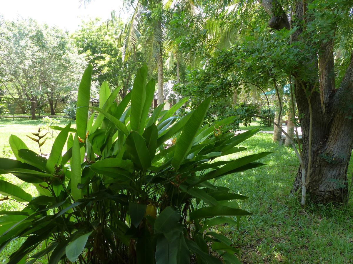 Residence Maison Müge Kilifi Exterior foto